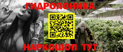 apvp Пенза