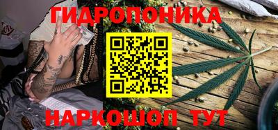 apvp Пенза